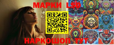 spice Можайск