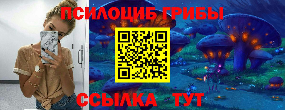 Троицк  Псилоцибиновые грибы мухоморы  Вход с VPN  Псилоцибиновые грибы Magic Shrooms 