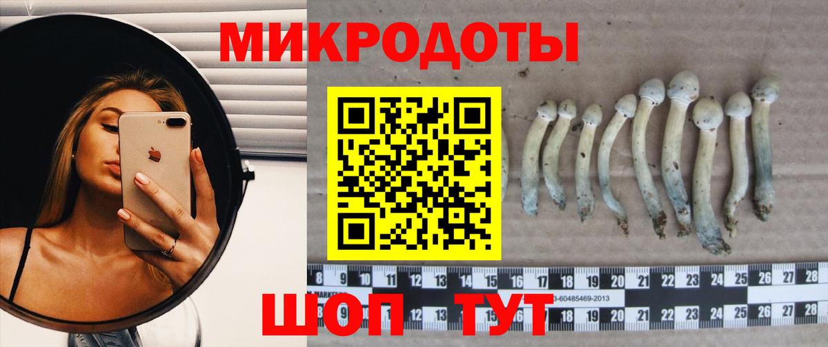 Псилоцибиновые грибы мицелий Троицк